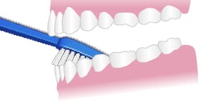 illustration brushing inside of front bottom teeth