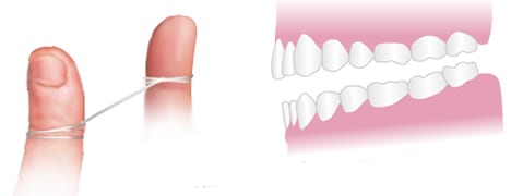 illustration of how to hold the floss